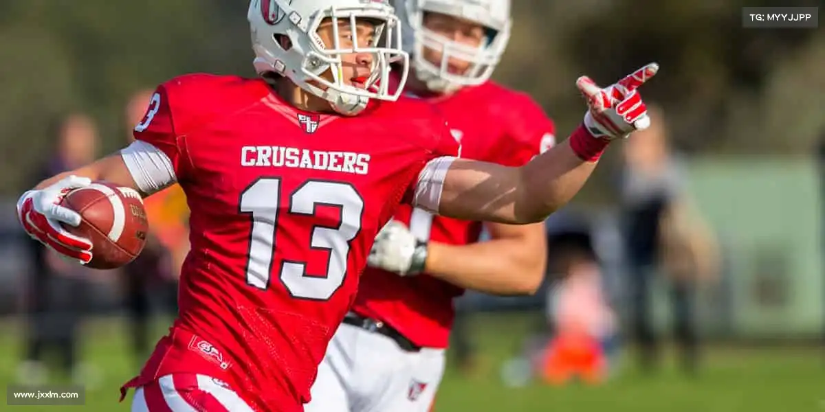 行业领先的理由